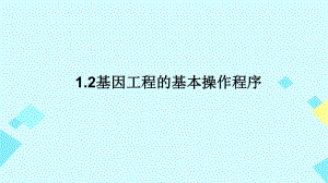 高中生物 1_2 基因工程的基本操作程序課件 新人教版選修31