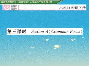 八年級(jí)英語(yǔ)下冊(cè) Unit 8 Have you read Treasure Island yet（第3課時(shí)）Section A（Grammar Focus）習(xí)題課件 （新版）人教新目標(biāo)版