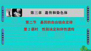 高中生物 第3章 遺傳和染色體 第2節(jié) 基因的自由組合定律（第2課時）課件 蘇教版必修2