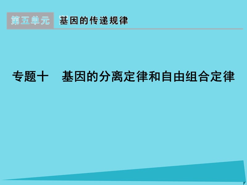 高考生物一輪復(fù)習 專題10 基因的分離定律和自由組合定律課件_第1頁