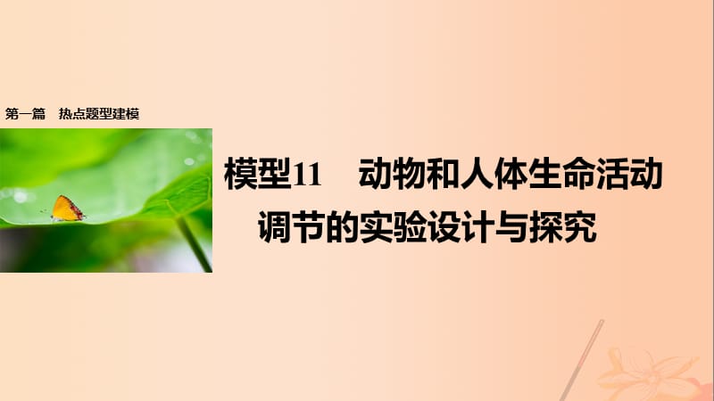 高考生物大二輪專題復習與增分策略 熱點題型建模 模型11 動物和人體生命活動調(diào)節(jié)的實驗設計與探究課件_第1頁