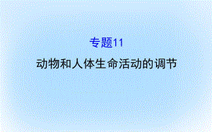 高考生物二輪復習 專題十一 動物和人體生命活動的調(diào)節(jié)課件