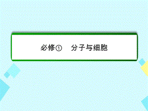 高考生物一輪復習 第3講 生命活動的主要承擔者——蛋白質課件 新人教版必修1