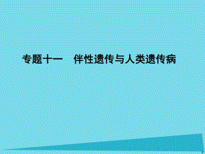 高考生物一輪復(fù)習(xí) 專題11 伴性遺傳與人類遺傳病課件