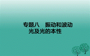 高考物理二輪復(fù)習(xí) 專題八 振動和波動 光及光的本性課件