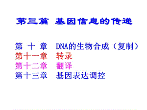 医学生物化学课件--10