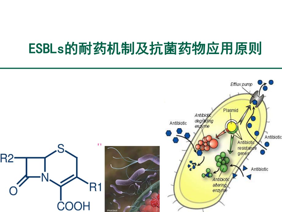 esbls的耐药机制及抗菌药物应用原则ppt课件_第1页