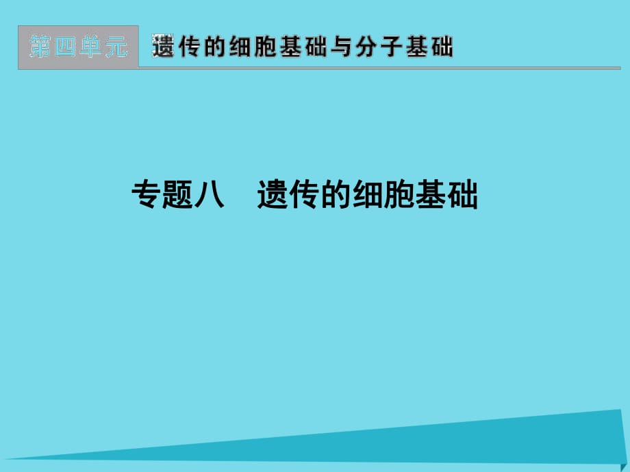 高考生物一輪復習 專題8 遺傳的細胞基礎(chǔ)課件_第1頁