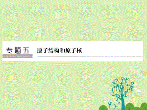 高考物理二輪復(fù)習 專題五 原子結(jié)構(gòu)和原子核課件