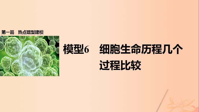 高考生物大二輪專題復(fù)習(xí)與增分策略 熱點(diǎn)題型建模 模型6 細(xì)胞生命歷程幾個(gè)過(guò)程比較課件_第1頁(yè)