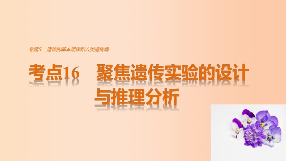 高考生物考前3個月專題復(fù)習 專題5 遺傳的基本規(guī)律和人類遺傳病 考點16 聚焦遺傳實驗的設(shè)計與推理分析課件_第1頁