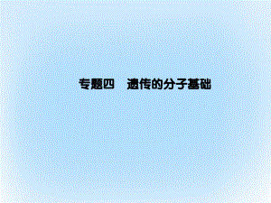 高考生物二輪復習 專題輔導與訓練 第一部分 專題整合篇 專題四 遺傳的分子基礎課件
