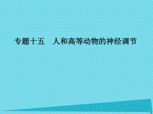 高考生物一輪復習 專題15 人和高等動物的神經調節(jié)課件