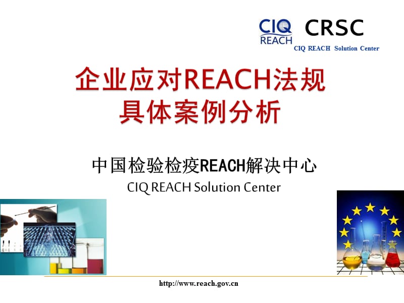 企业应对REACH法规具体案例分析_第1页