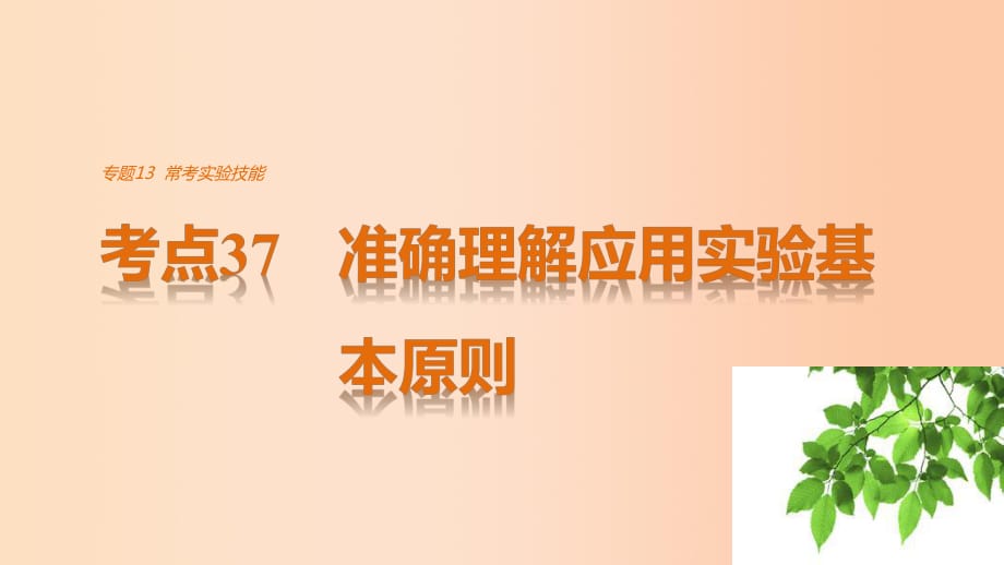 高考生物考前3個(gè)月專題復(fù)習(xí) 專題13 ?？紝?shí)驗(yàn)技能 考點(diǎn)37 準(zhǔn)確理解應(yīng)用實(shí)驗(yàn)基本原則課件_第1頁(yè)