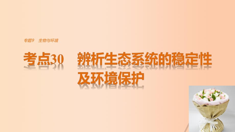 高考生物考前3個(gè)月專題復(fù)習(xí) 專題9 生物與環(huán)境 考點(diǎn)30 辨析生態(tài)系統(tǒng)的穩(wěn)定性及環(huán)境保護(hù)課件_第1頁