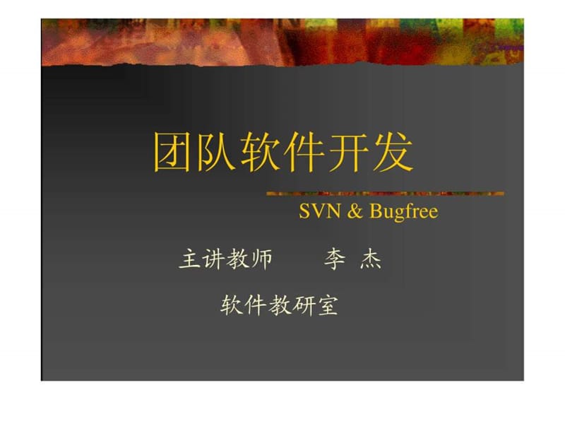 团队软件开发(svn)_第1页