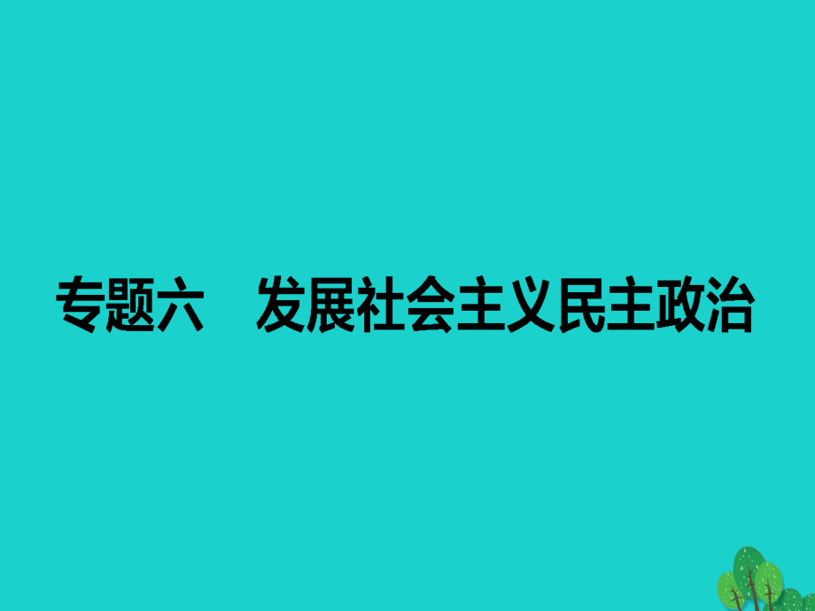 高考政治二轮复习 专题六 发展社会主义民主政治课件_第1页