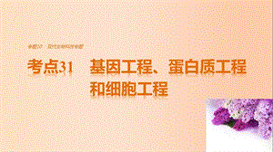 高考生物考前3個月專題復習 專題10 現(xiàn)代生物科技專題 考點31 基因工程、蛋白質(zhì)工程和細胞工程課件