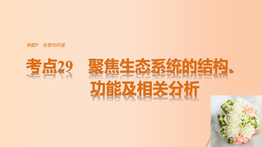 高考生物考前3個月專題復習 專題9 生物與環(huán)境 考點29 聚焦生態(tài)系統(tǒng)的結(jié)構(gòu)、功能及相關分析課件_第1頁