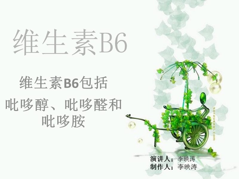 《维生素b6》ppt课件_第1页