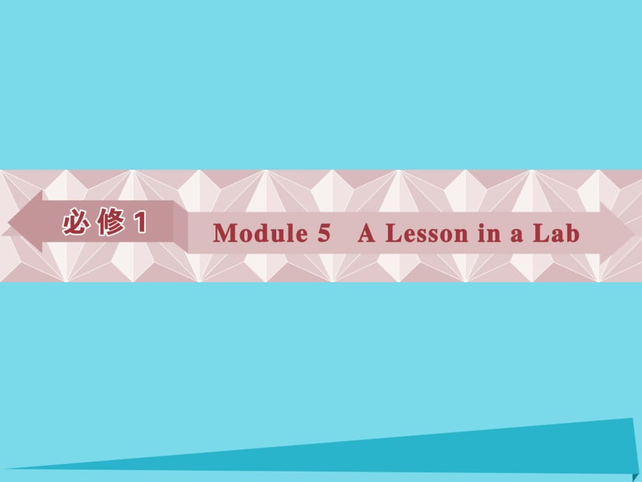 高考英语总复习 第一部分 基础考点聚焦 Module5 A Lesson in a Lab课件 外研版必修1_第1页