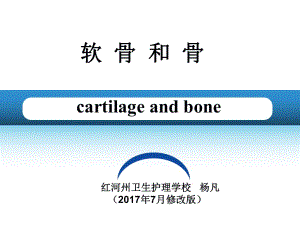 《軟骨和骨》ppt課件