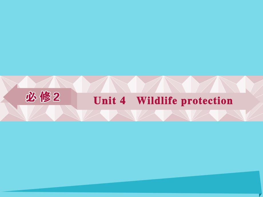 高考英語總復習 第一部分 基礎考點聚焦 Unit4 Wildlife Protection課件 新人教版必修2_第1頁