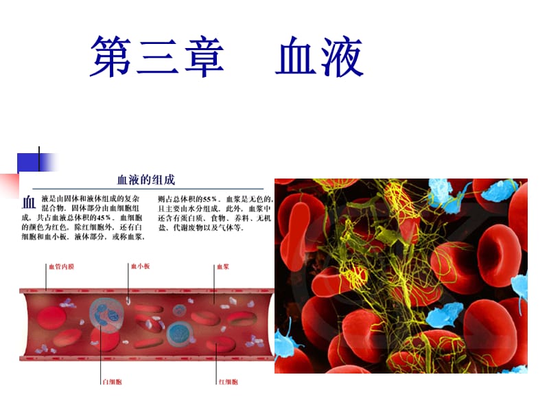 动物生理学_第三章_血液PPT课件_第1页