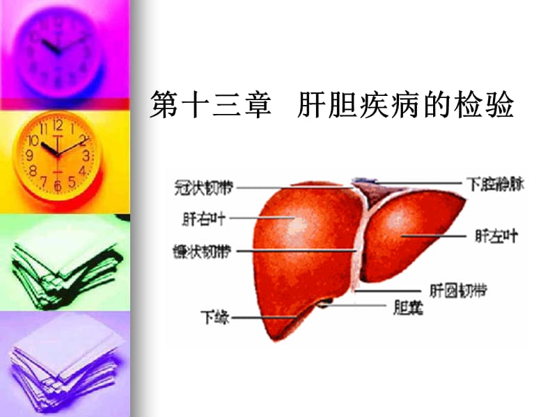 专13肝胆疾病的检验ppt课件_第1页