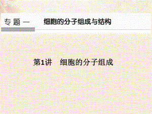 高考生物總復(fù)習(xí) 專題1 細(xì)胞的分子組成與結(jié)構(gòu) 第1講 細(xì)胞的分子組成課件