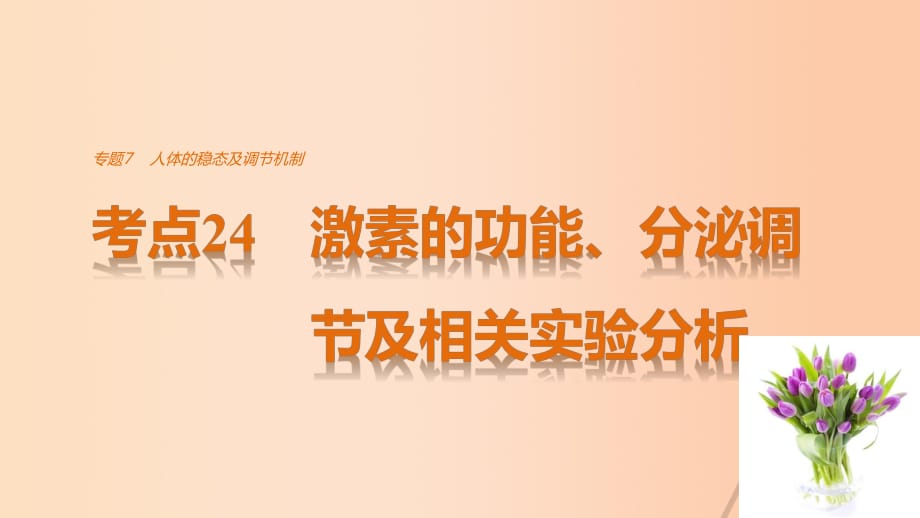 高考生物考前3個(gè)月專題復(fù)習(xí) 專題7 人體的穩(wěn)態(tài)及調(diào)節(jié)機(jī)制 考點(diǎn)24 激素的功能、分泌調(diào)節(jié)及相關(guān)實(shí)驗(yàn)分析課件_第1頁(yè)