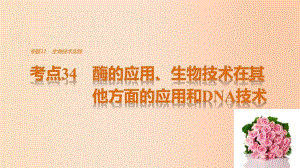 高考生物考前3個月專題復習 專題11 生物技術實踐 考點34 酶的應用、生物技術在其他方面的應用和DNA技術課件