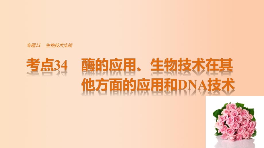 高考生物考前3個(gè)月專題復(fù)習(xí) 專題11 生物技術(shù)實(shí)踐 考點(diǎn)34 酶的應(yīng)用、生物技術(shù)在其他方面的應(yīng)用和DNA技術(shù)課件_第1頁(yè)