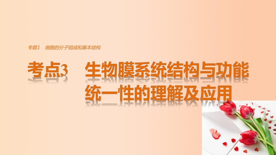 高考生物考前3个月专题复习 专题1 细胞的分子组成和基本结构 考点3 生物膜系统结构与功能统一性的理解及应用课件_第1页