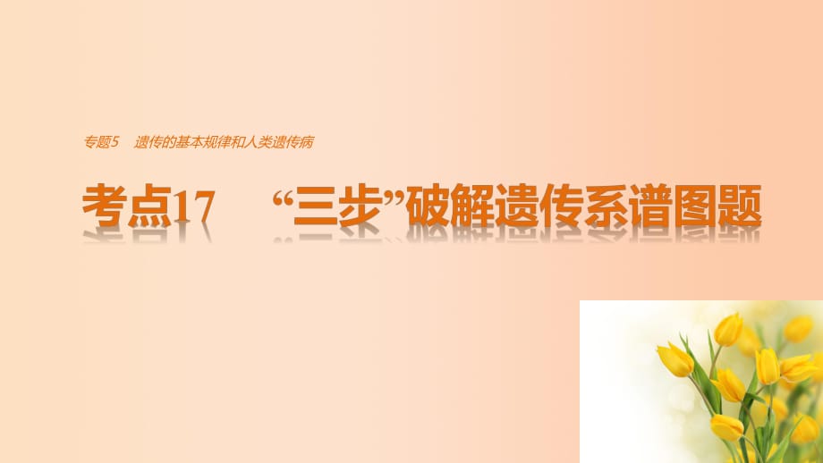 高考生物考前3個月專題復(fù)習 專題5 遺傳的基本規(guī)律和人類遺傳病 考點17 “三步”破解遺傳系譜圖題課件_第1頁