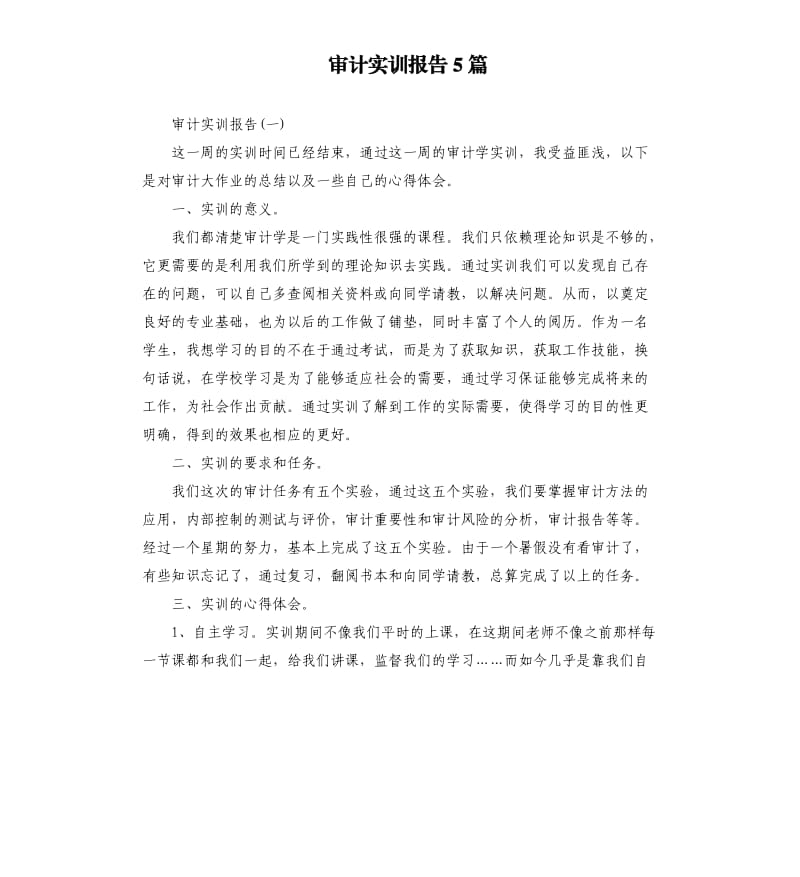 审计实训报告5篇.docx_第1页