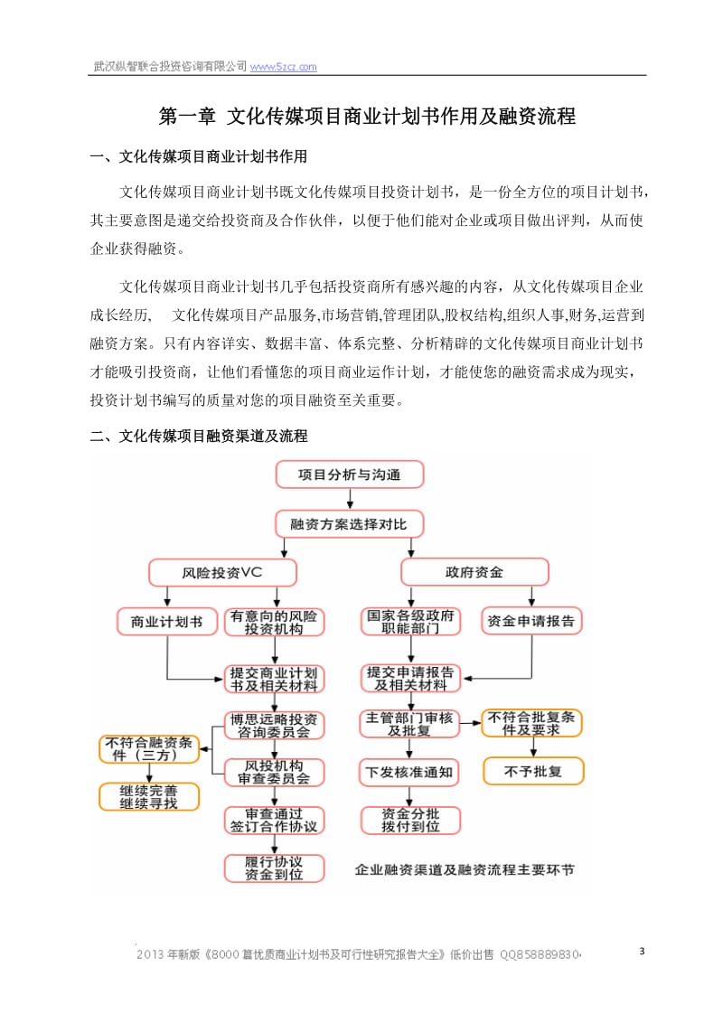 2013年文化传媒项目商业计划书_第3页