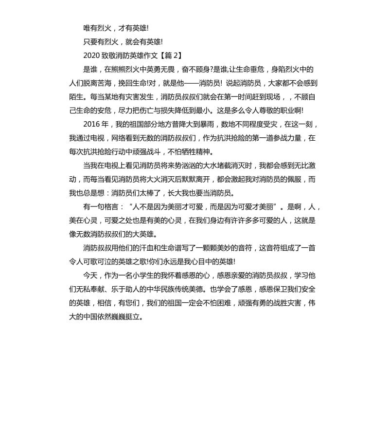 关于致敬消防英雄作文5篇.docx_第3页