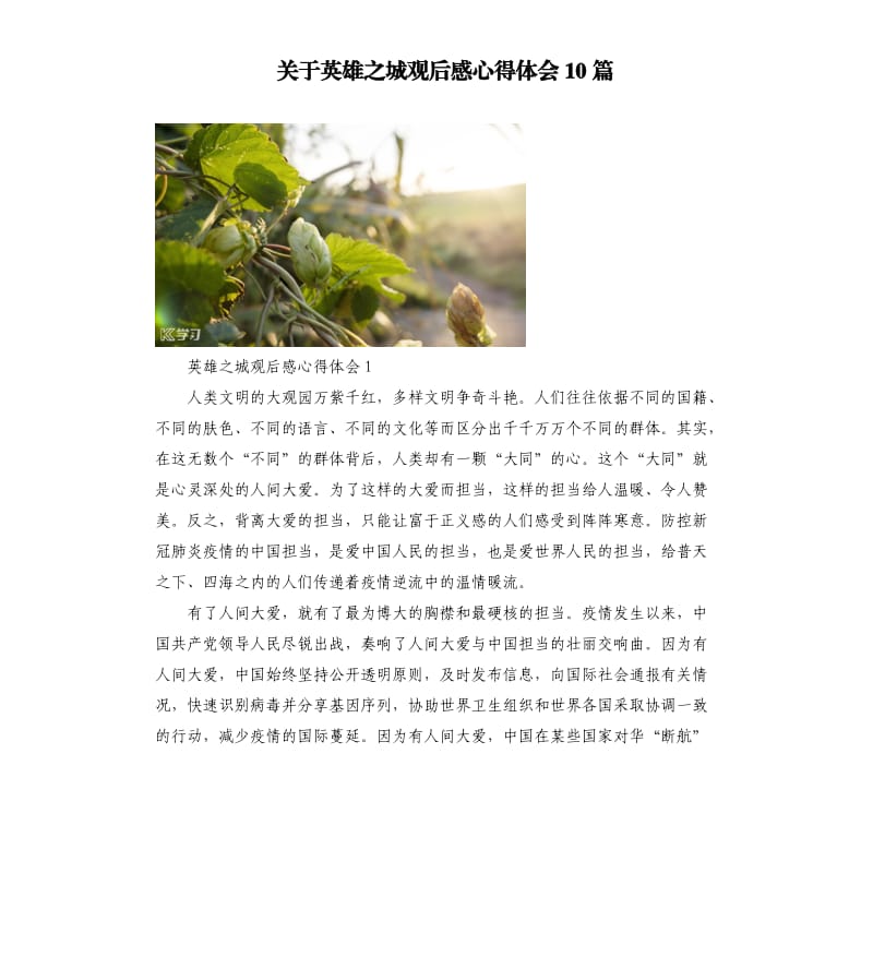 关于英雄之城观后感心得体会10篇.docx_第1页