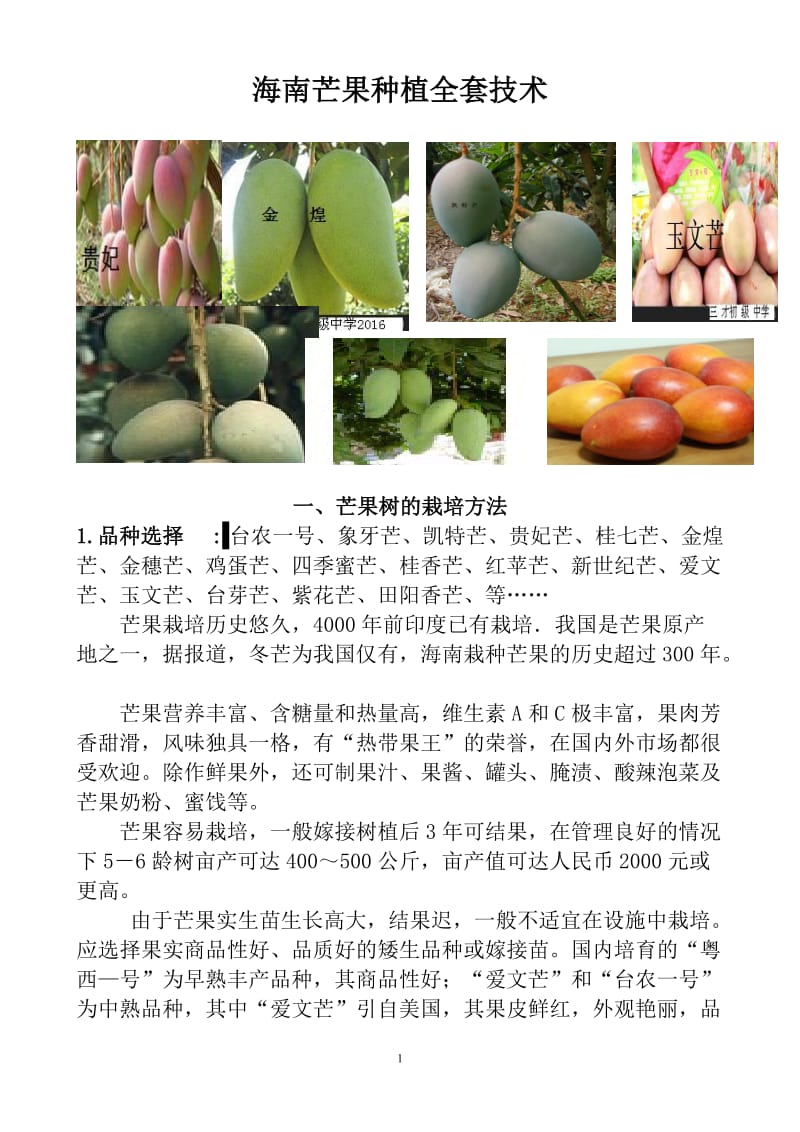 芒果树种植技术大全_第1页