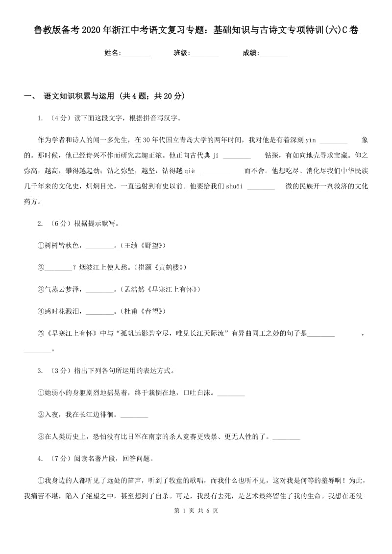 鲁教版备考2020年浙江中考语文复习专题：基础知识与古诗文专项特训(六)C卷_第1页