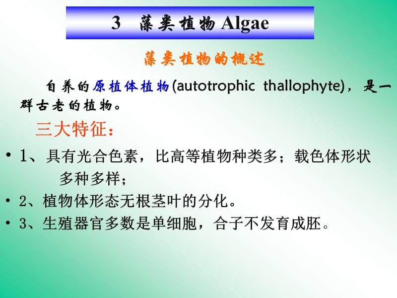 《藻類植物介紹》PPT課件_第1頁