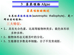 《藻類植物介紹》PPT課件