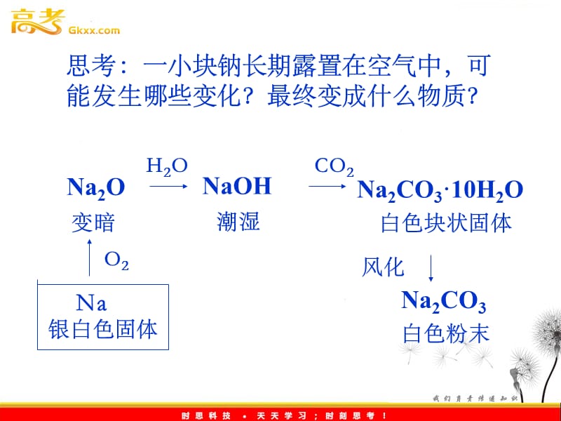 化学：《碳酸钠的性质与应用》课件_第2页