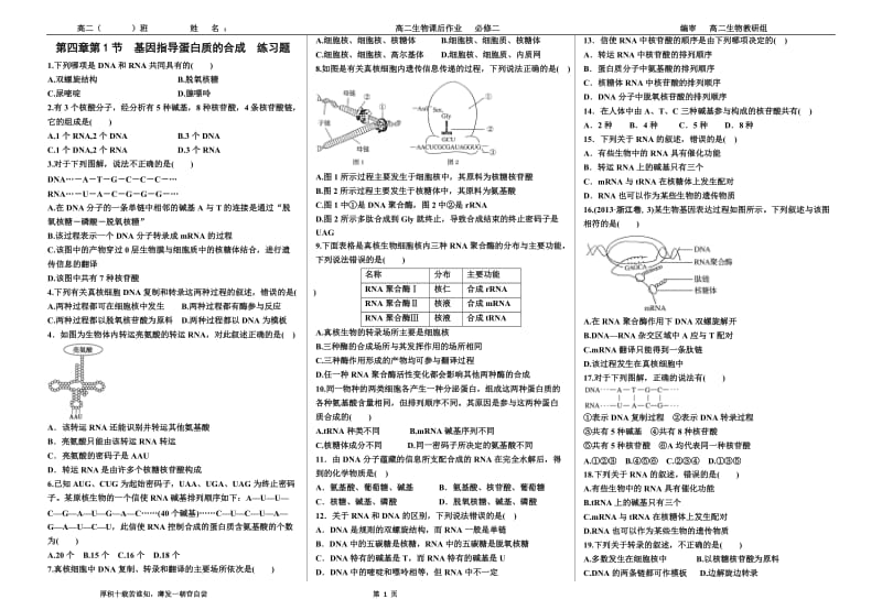 第四章第1节基因指导蛋白质的合成练习题_第1页