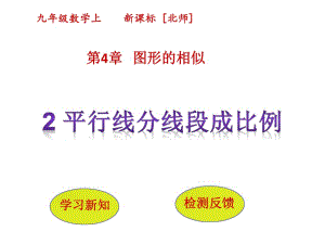 4.2《平行線分線段成比例》優(yōu)質(zhì)課獲獎ppt課件