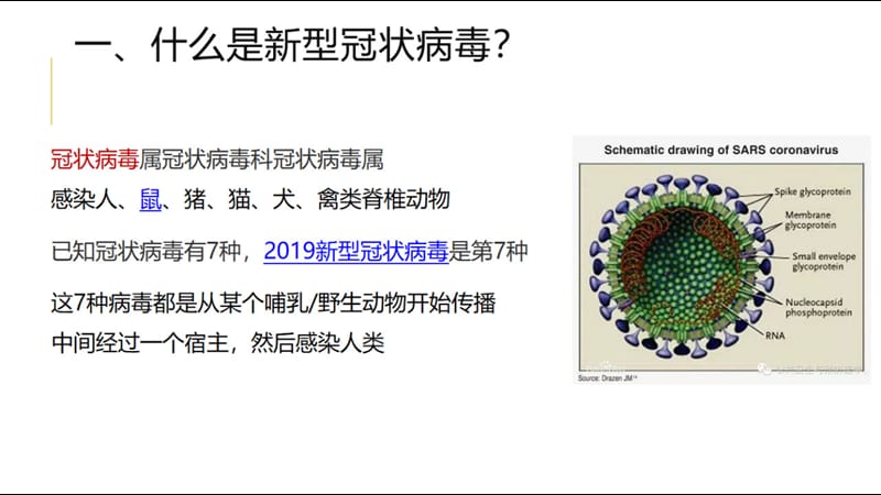 新冠疫情防控知识手册_第3页