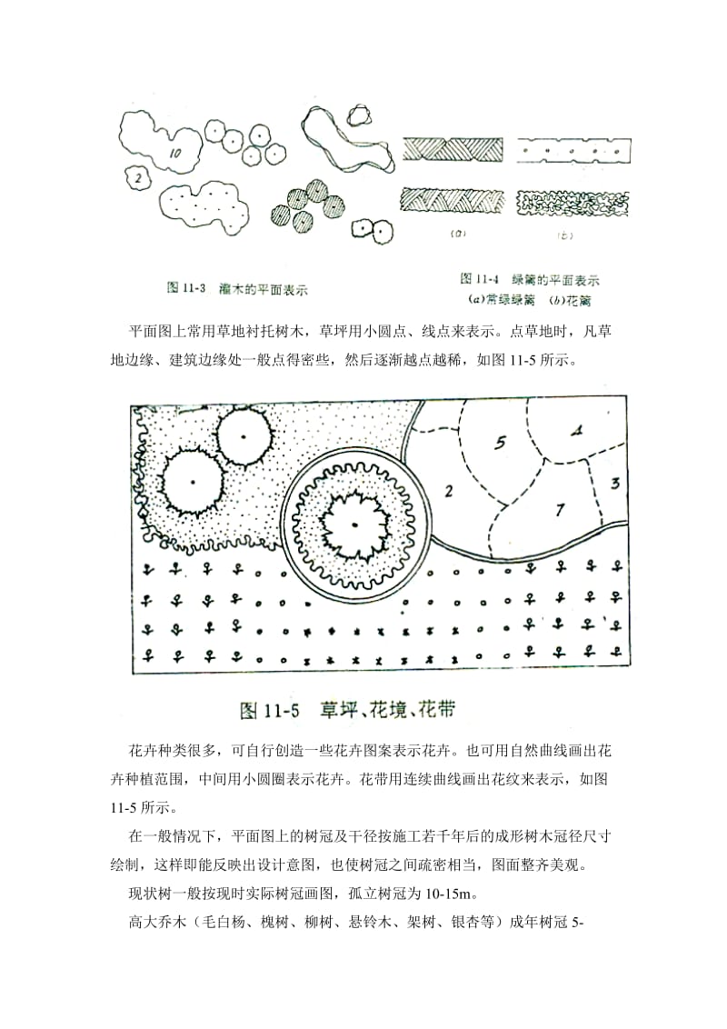 树木的画法_第3页