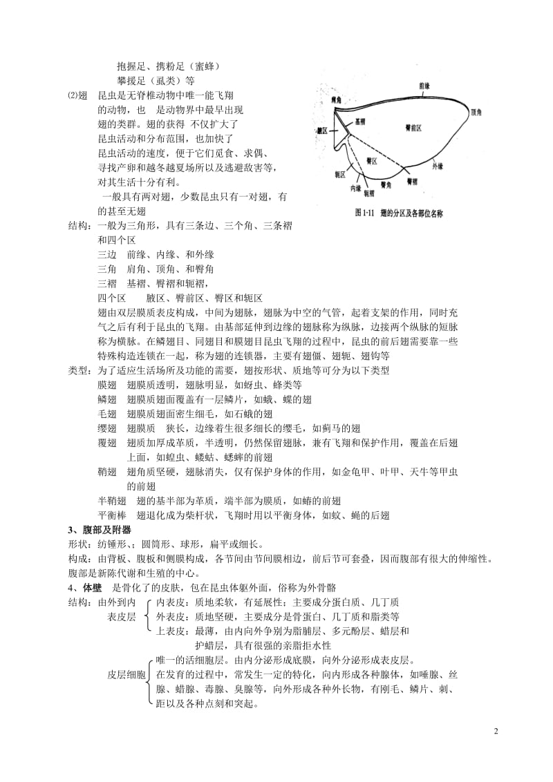 农业昆虫及分类_第2页